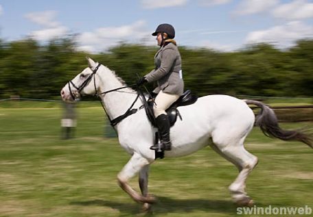 Wanborough Horse and Dog show
